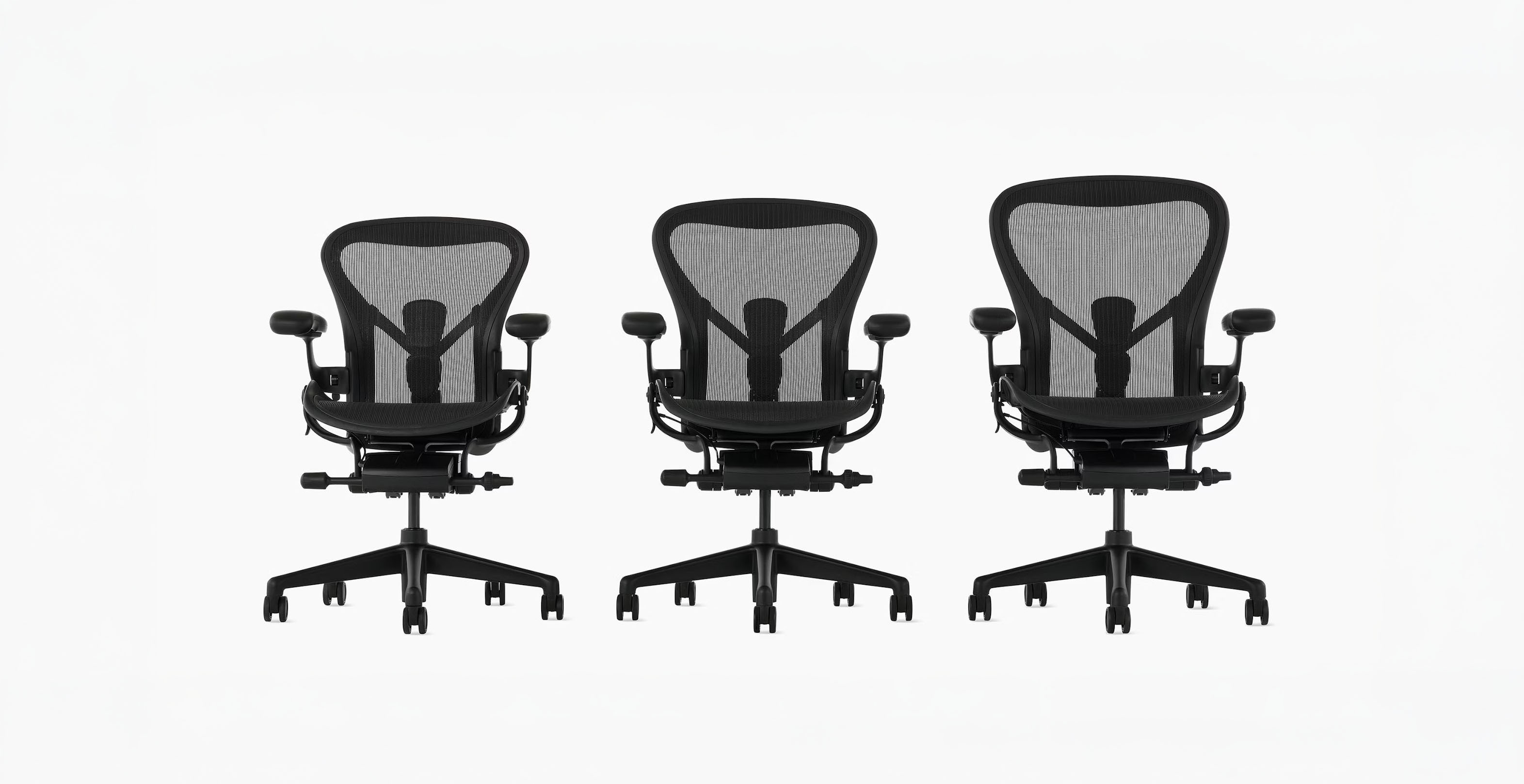 3 aeron storrelser hos euklides