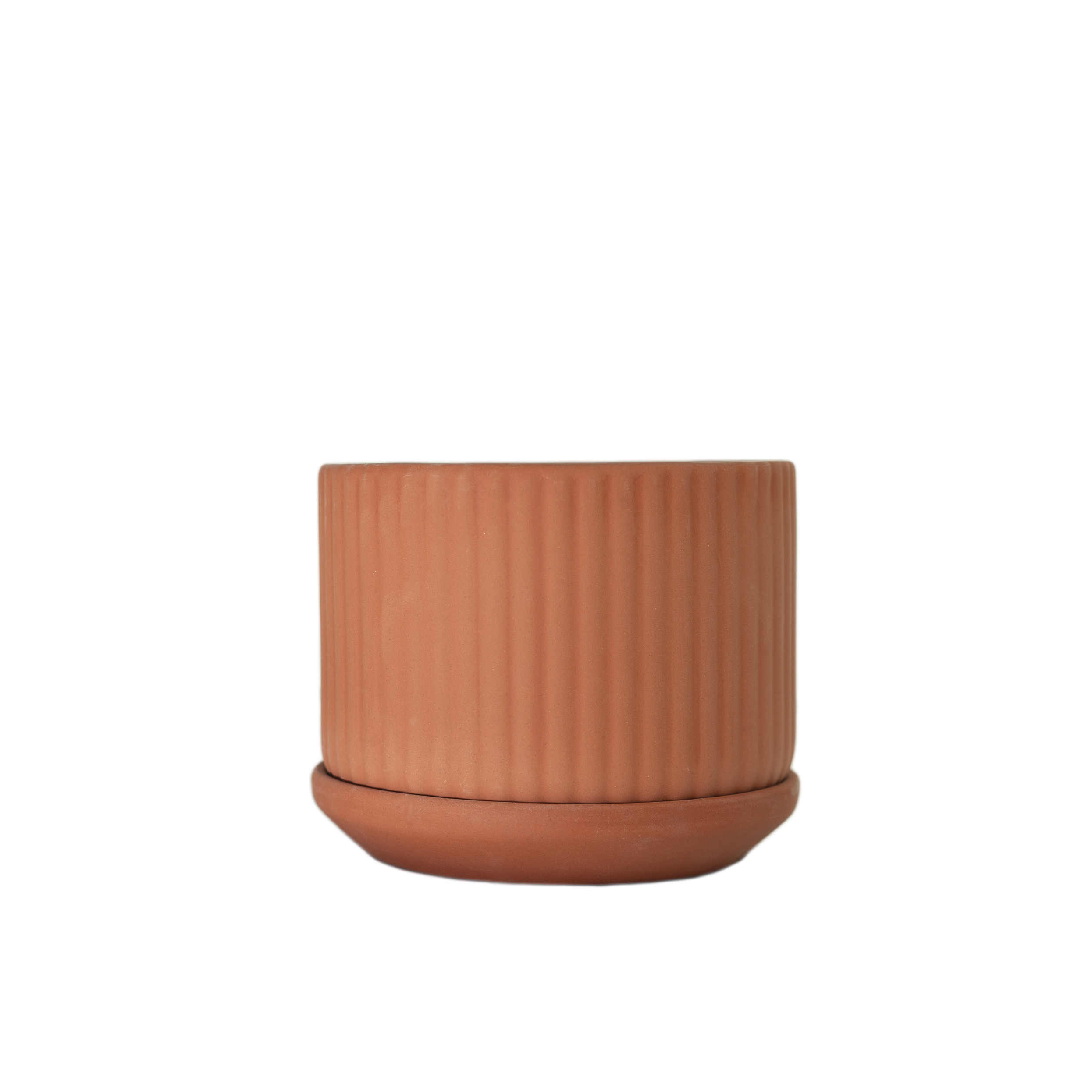 Euklides Elementa Klorofyll KL POT 100