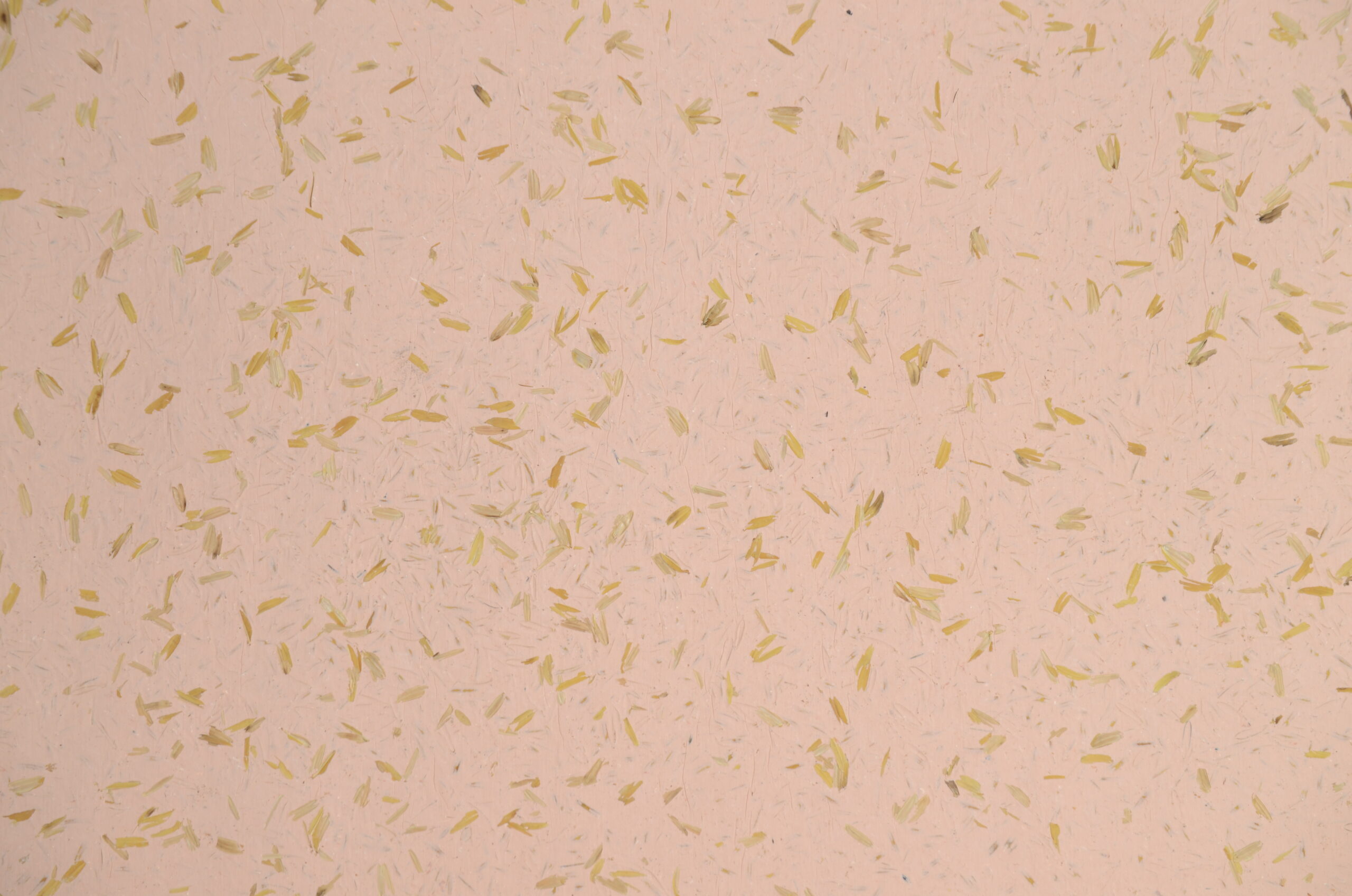 Rice Pink C07