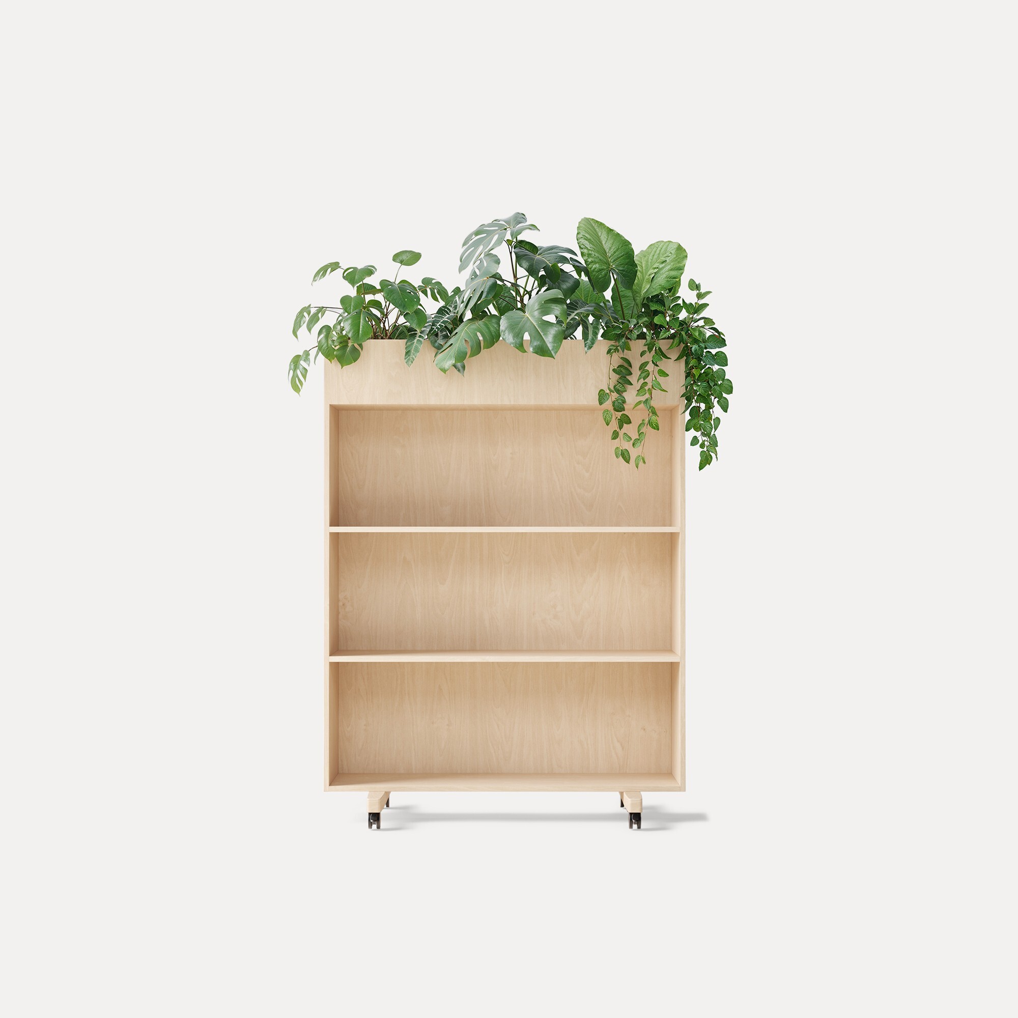 Euklides_Zilenzio_zilenzio-zorla-shelf_gallery_01-mox0v19x0uun