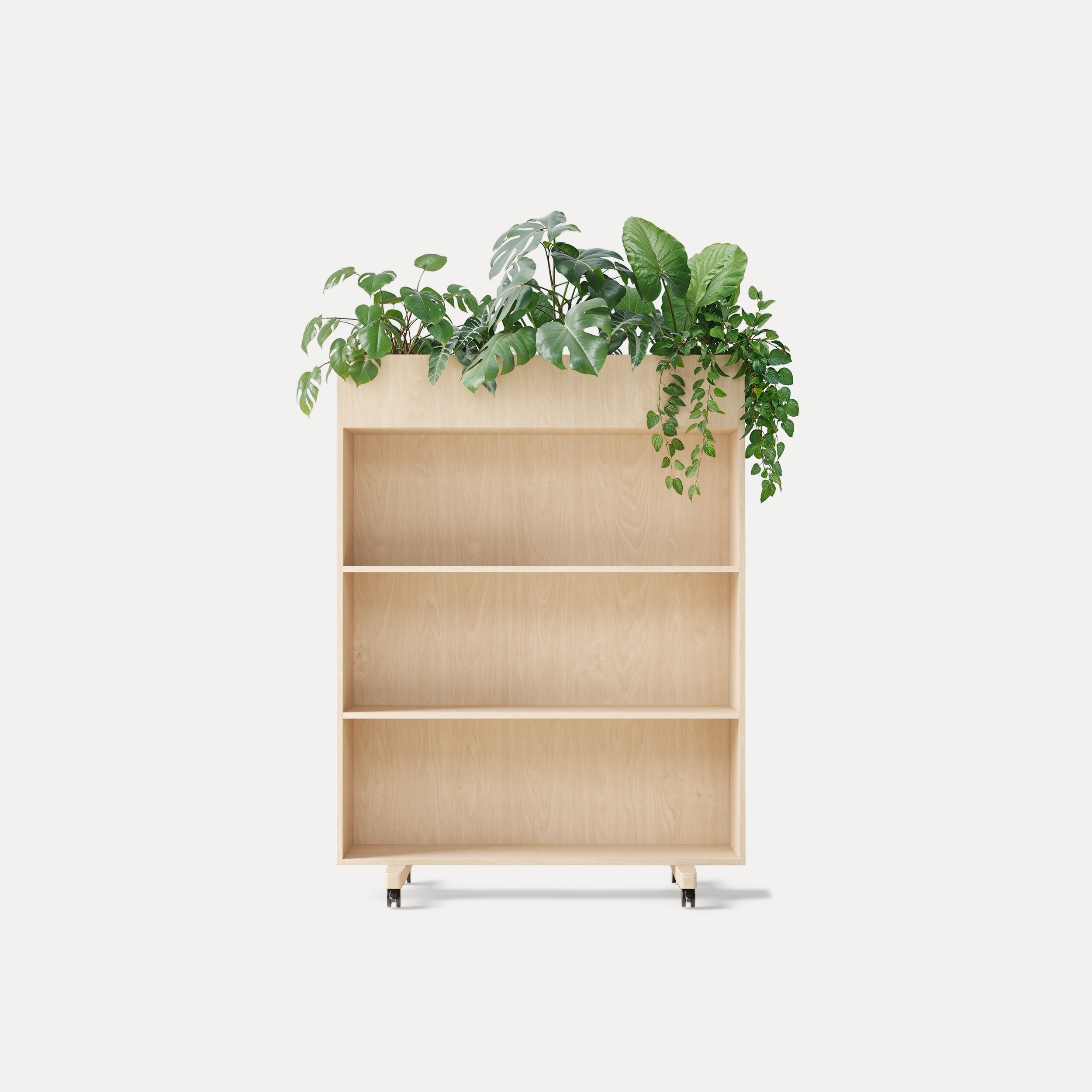 Euklides_Zilenzio_zilenzio-zorla-shelf_gallery_02-mox0v24h0gnm