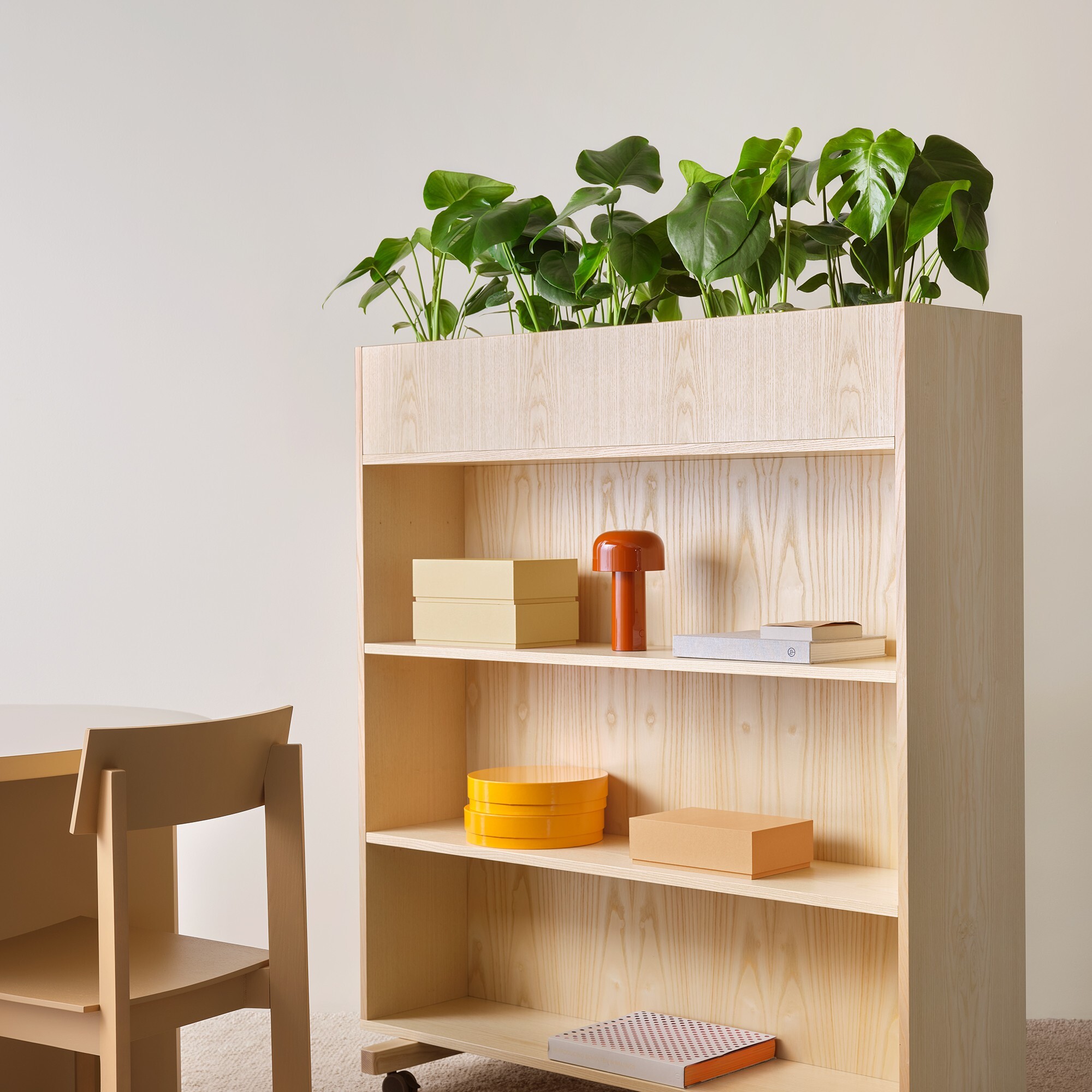 Euklides_Zilenzio_zilenzio-zorla-shelf_image-mox0v3es0d0k