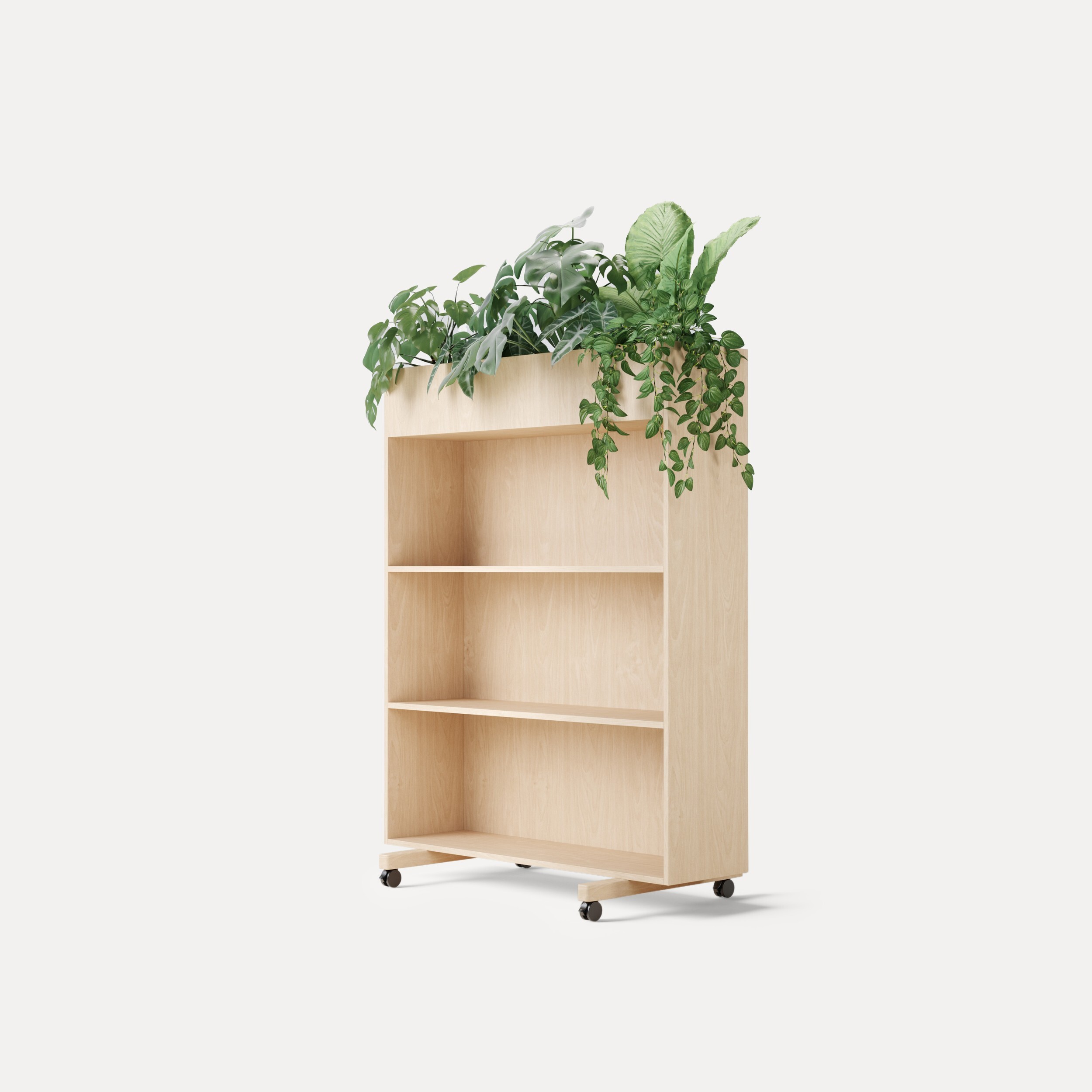 Euklides_Zilenzio_zilenzio-zorla-shelf_main-mox0v09i0slh