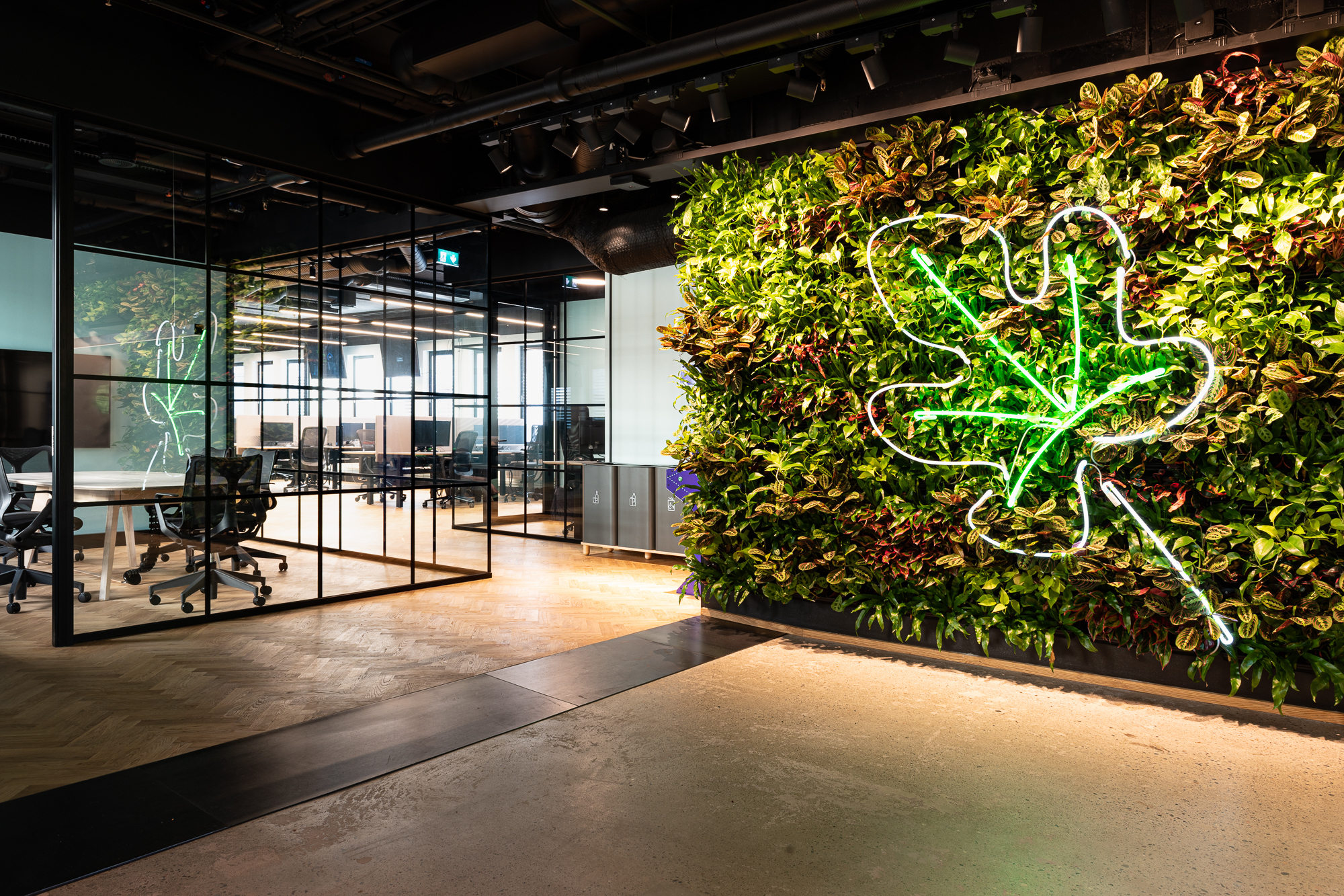 Fiken Iark photo Niklas Hart lr 2 201008 094206