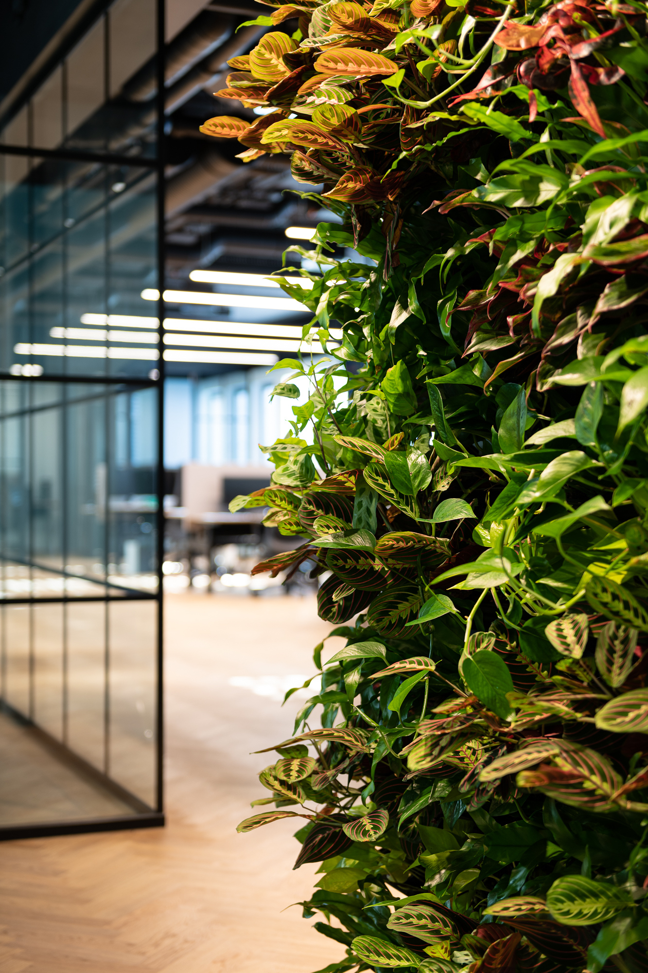 Fiken Iark photo Niklas Hart lr 5