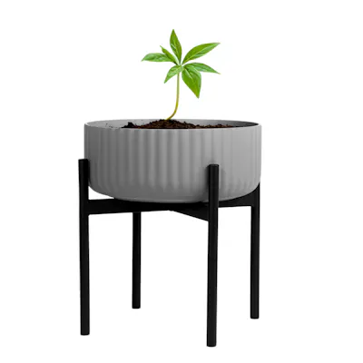 klorofyll-medium-base-low-concrete-planter