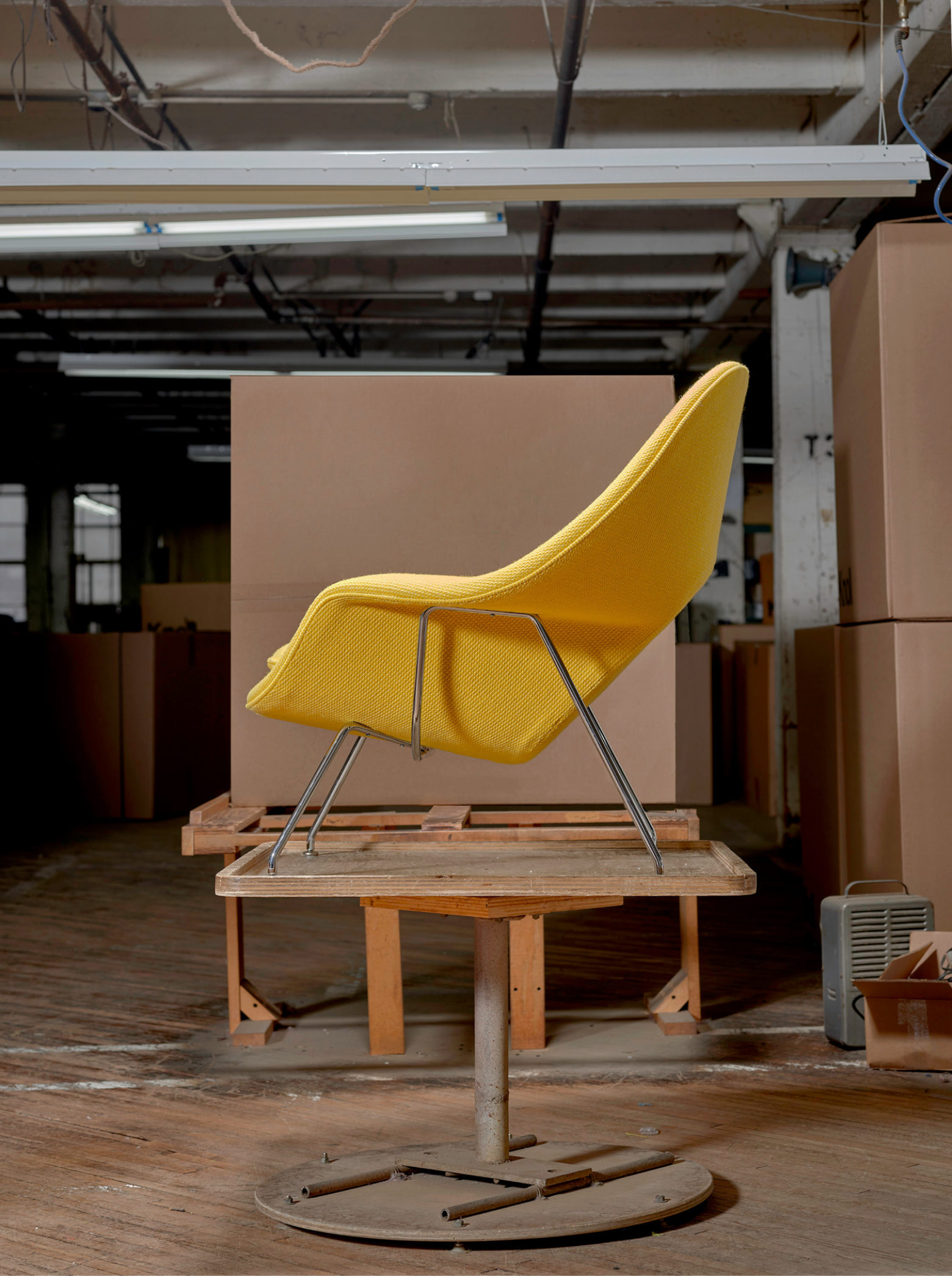 KNLWP Womb Image Collage2v2