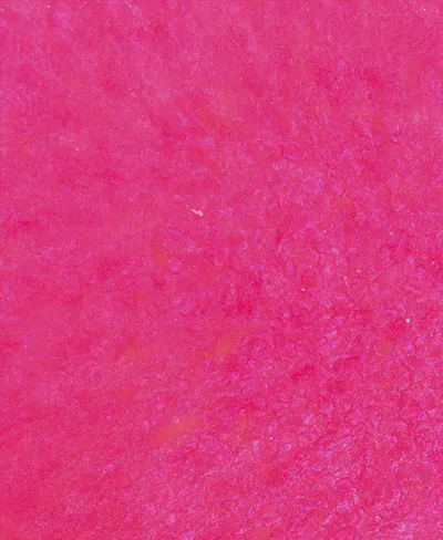 Translucent Pink jpg